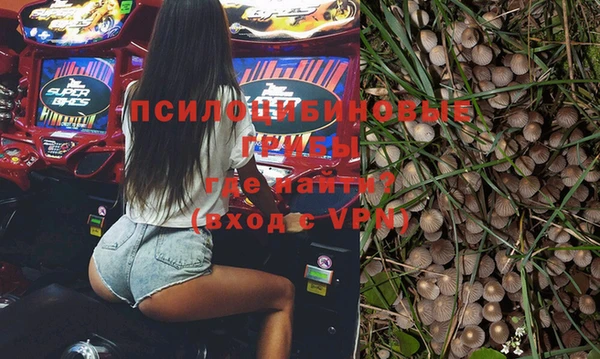spice Гусиноозёрск