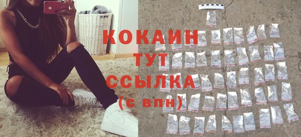 кокс Гусев