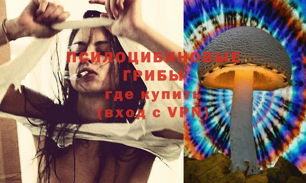 кокс Гусев
