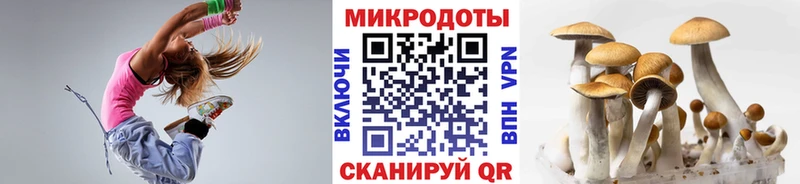 Галлюциногенные грибы Psilocybe  Купить  Славянск-на-Кубани 